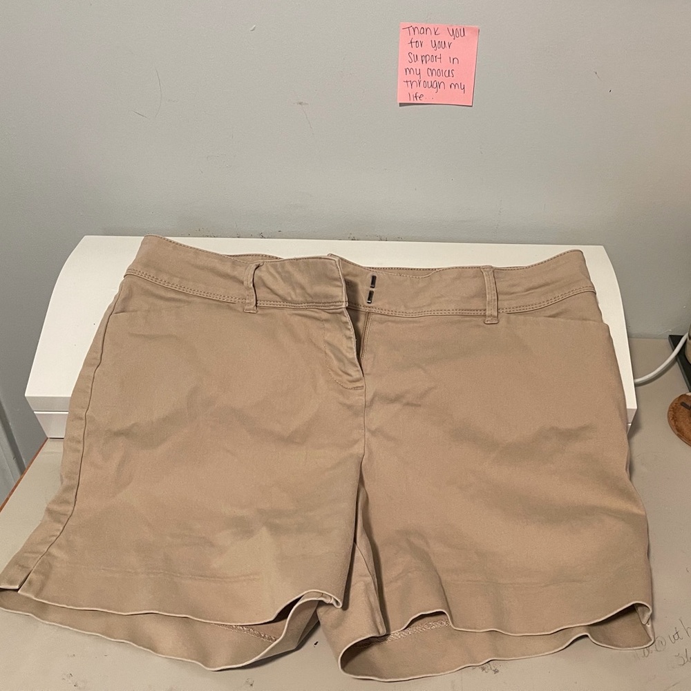 Women’s shorts size 12